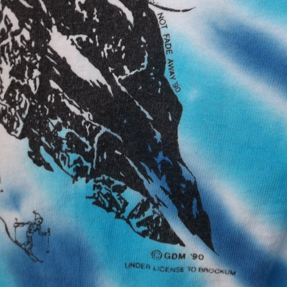 Vtg GRATEFUL DEAD Cropped Tee, L, Blue Tie-dye, Long sleeve, Skiing Skeleton - Picture 7 of 15